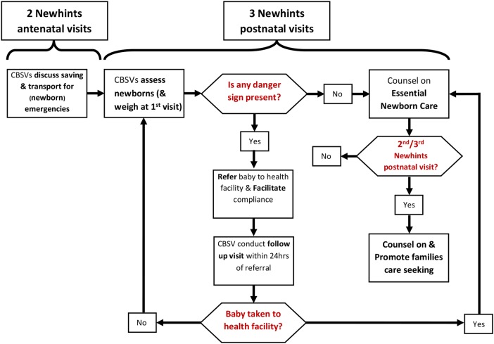 Figure 2