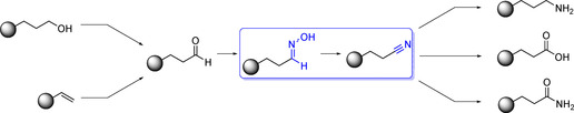 Scheme 1