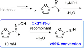 Scheme 5