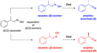 Scheme 4