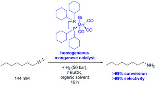 Scheme 7