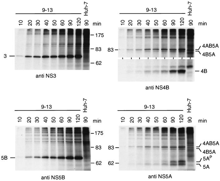 FIG. 6