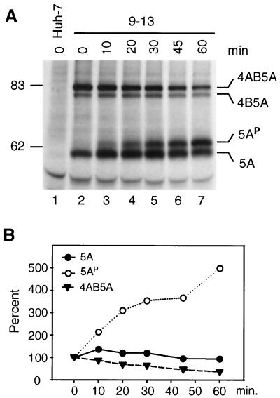 FIG. 7