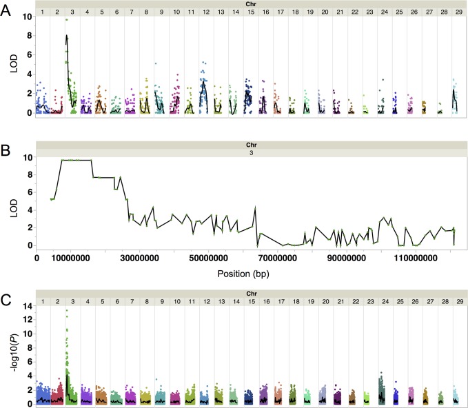 Fig 2