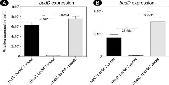 FIG 4