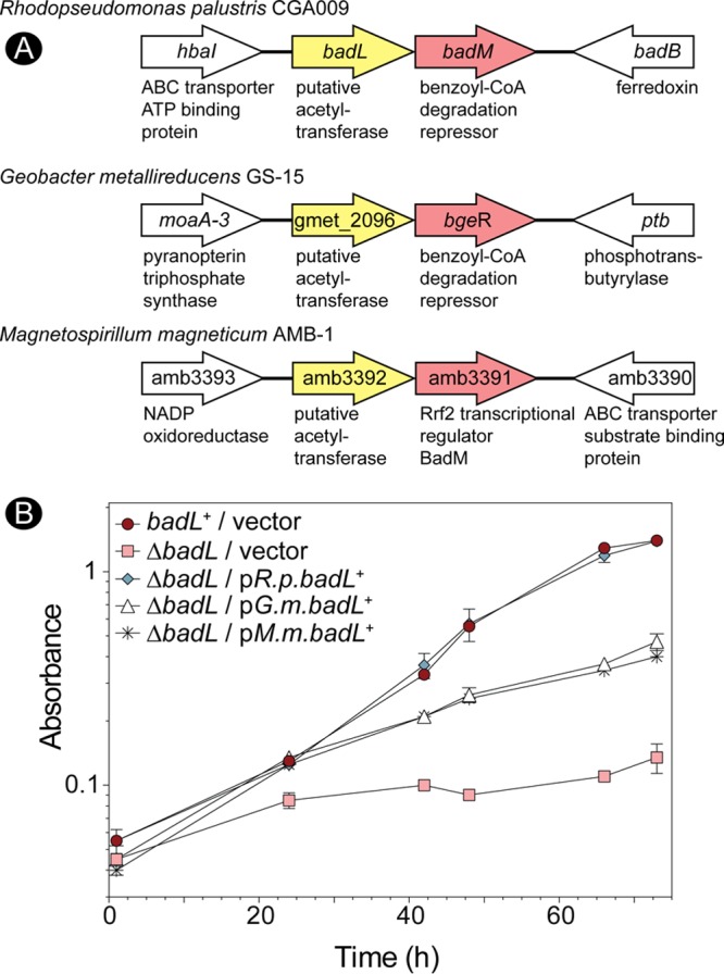 FIG 5