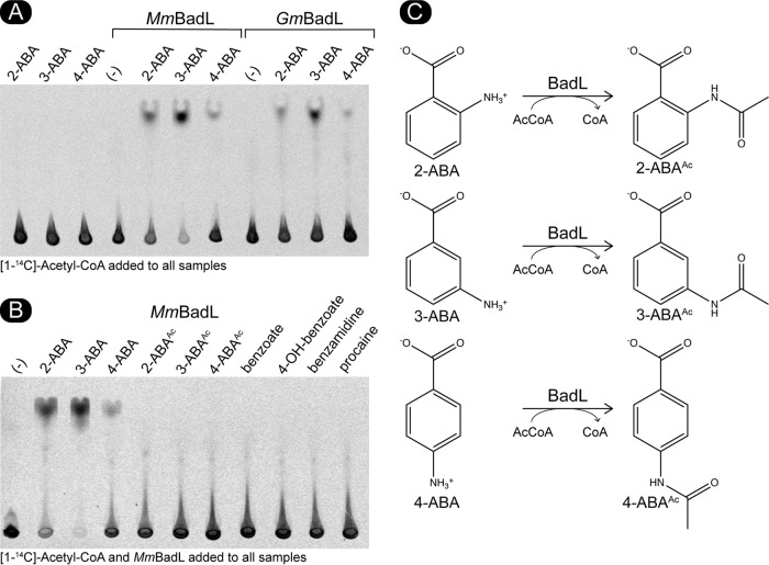 FIG 6