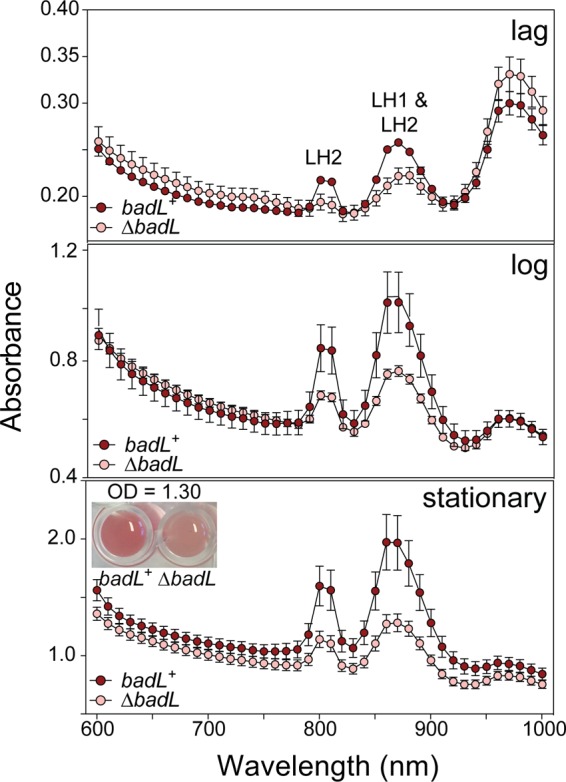 FIG 11