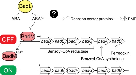 FIG 14