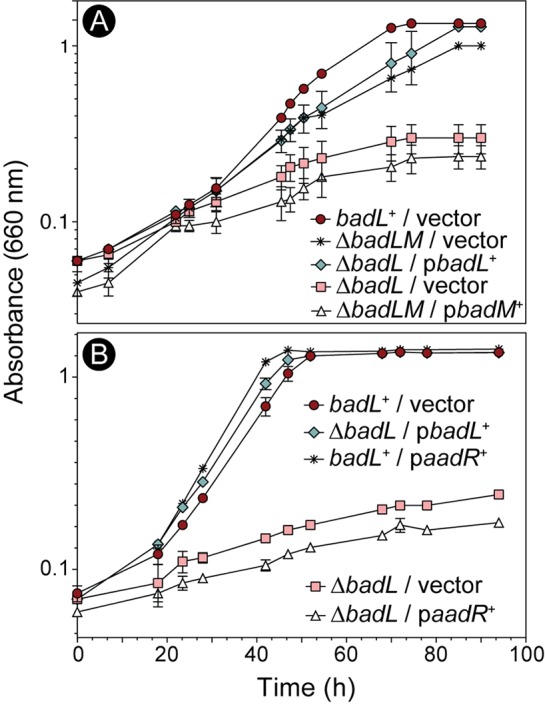 FIG 3