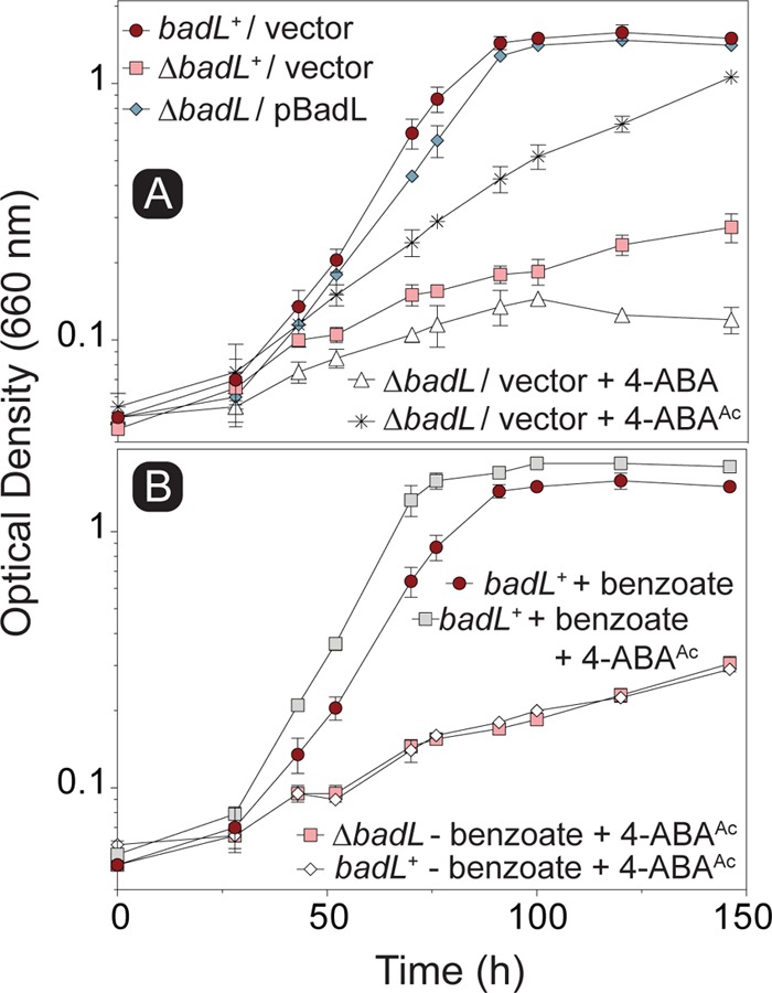 FIG 10