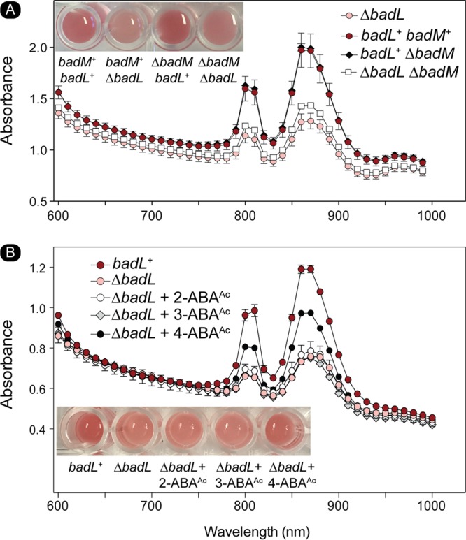 FIG 13