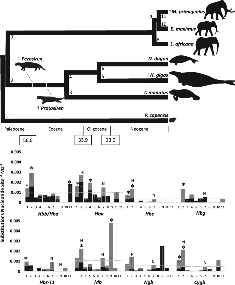 Fig. 3.