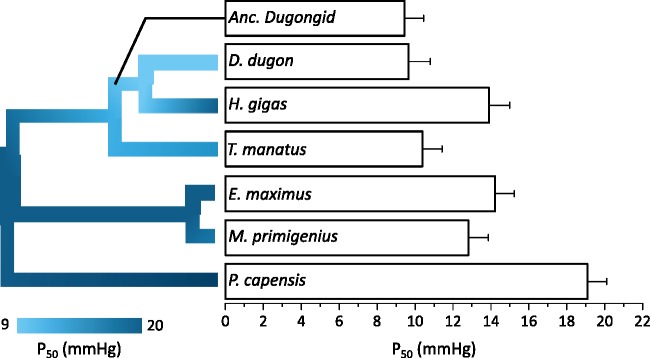 Fig. 5.