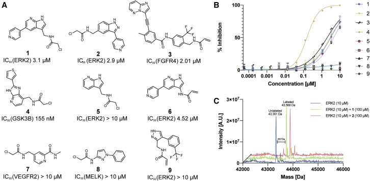 Figure 4