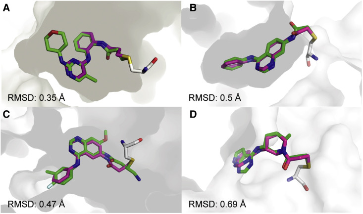 Figure 2