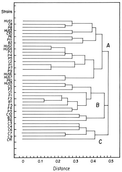 FIG. 1