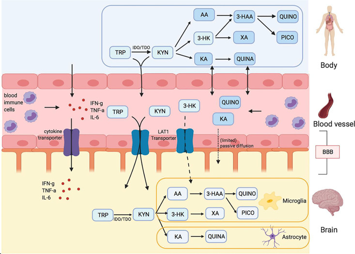 Figure 1