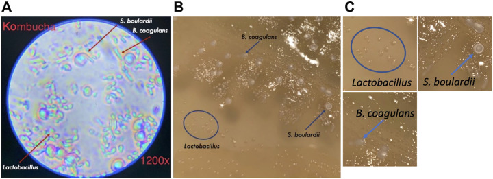 FIG 1