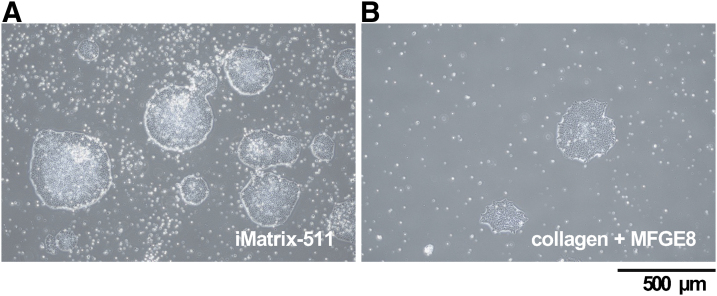 FIG. 2.