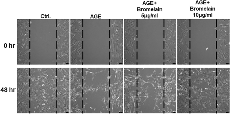 Figure 2