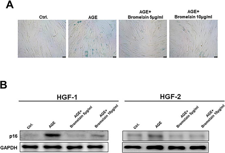 Figure 4