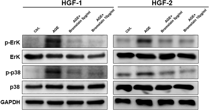 Figure 6