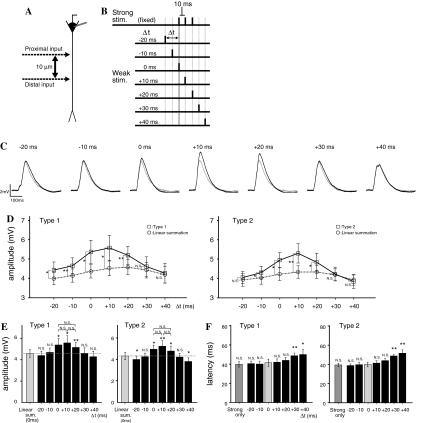 Fig. 6