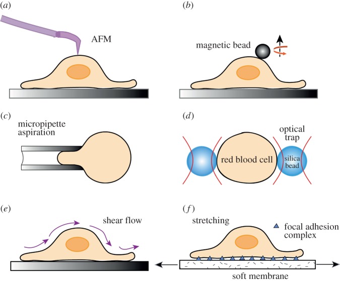 Figure 19.