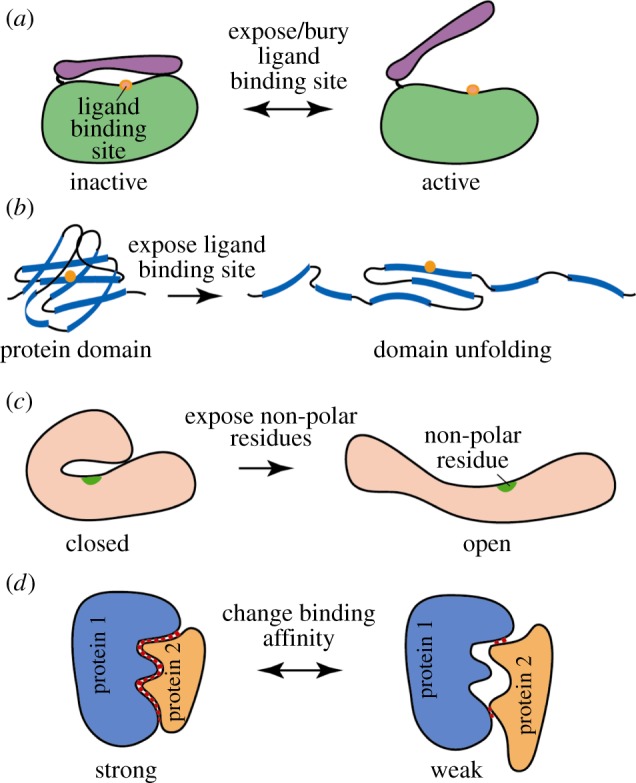 Figure 18.