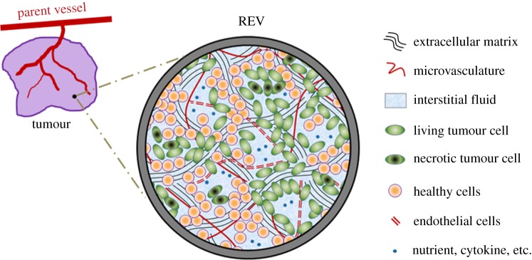 Figure 11.