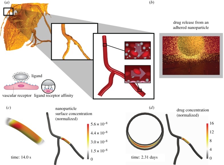 Figure 10.