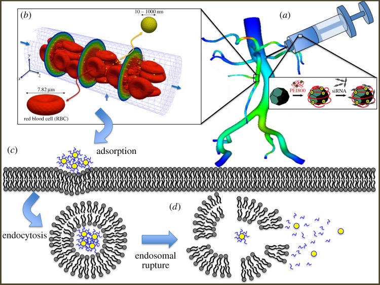 Figure 1.