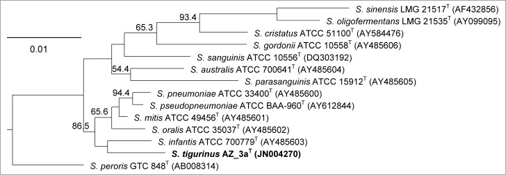 Figure 1.