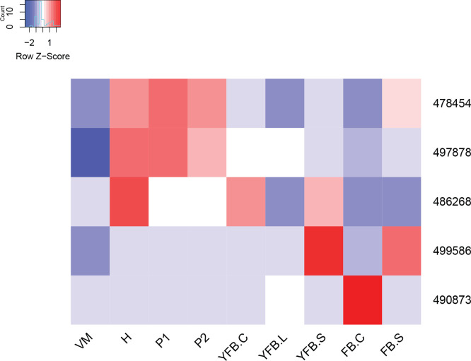 Fig. 13.