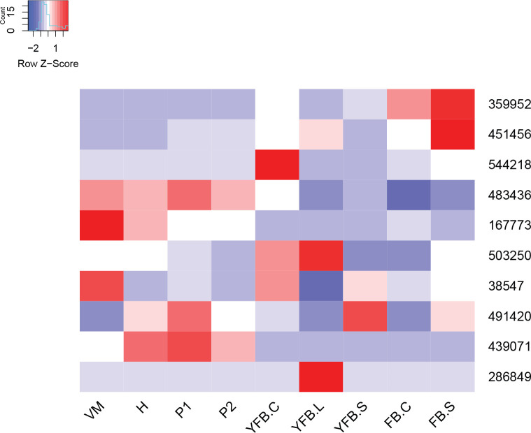 Fig. 11.