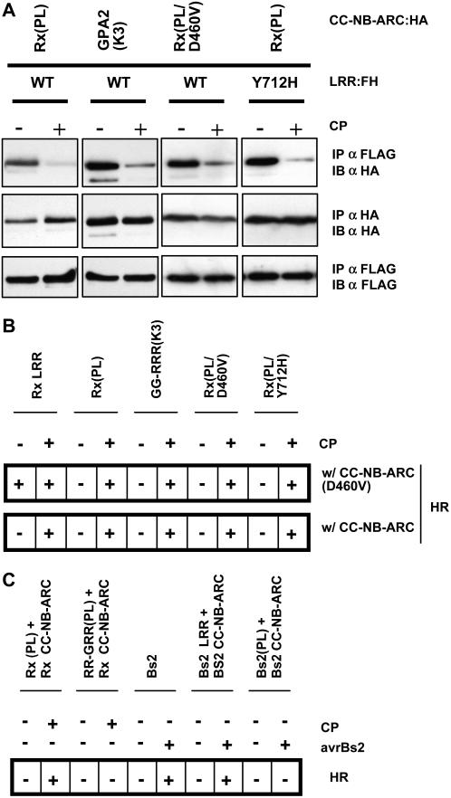 Figure 5.