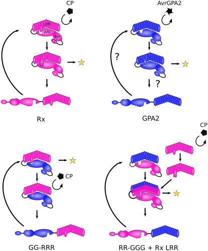 Figure 7.