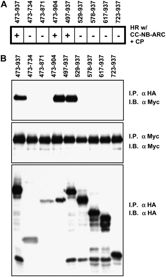 Figure 6.