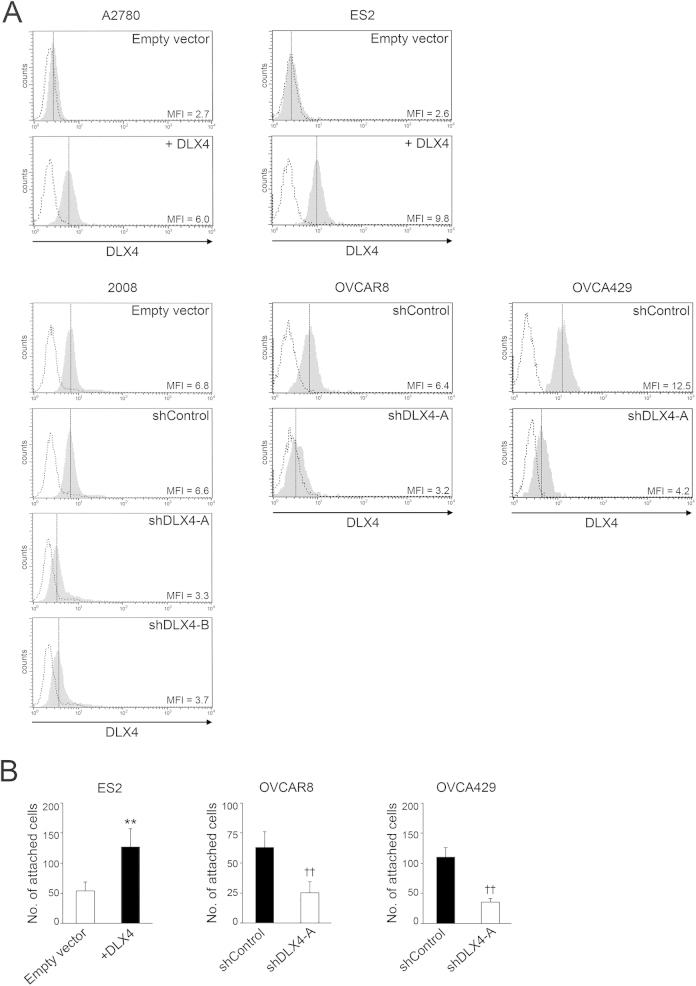 Supplemental Figure S1