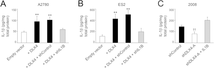 Supplemental Figure S4