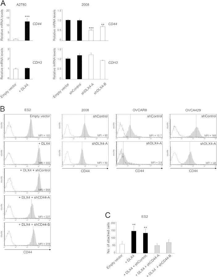 Supplemental Figure S3