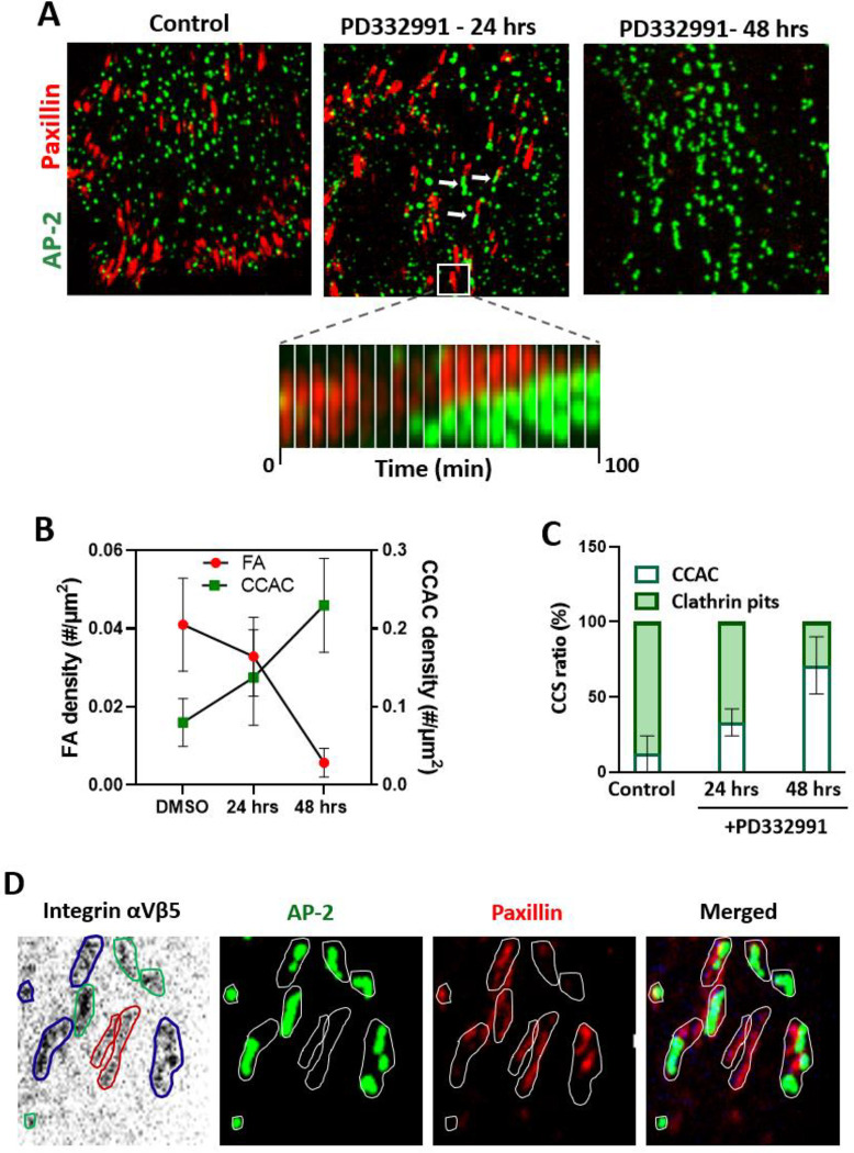 Figure 2: