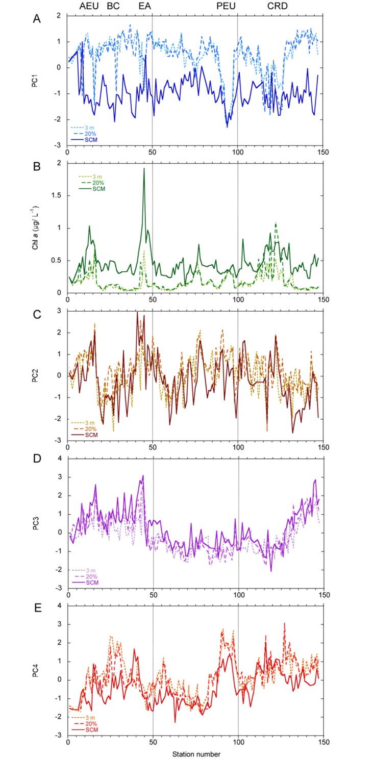 Fig 6