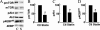 FIGURE 10.