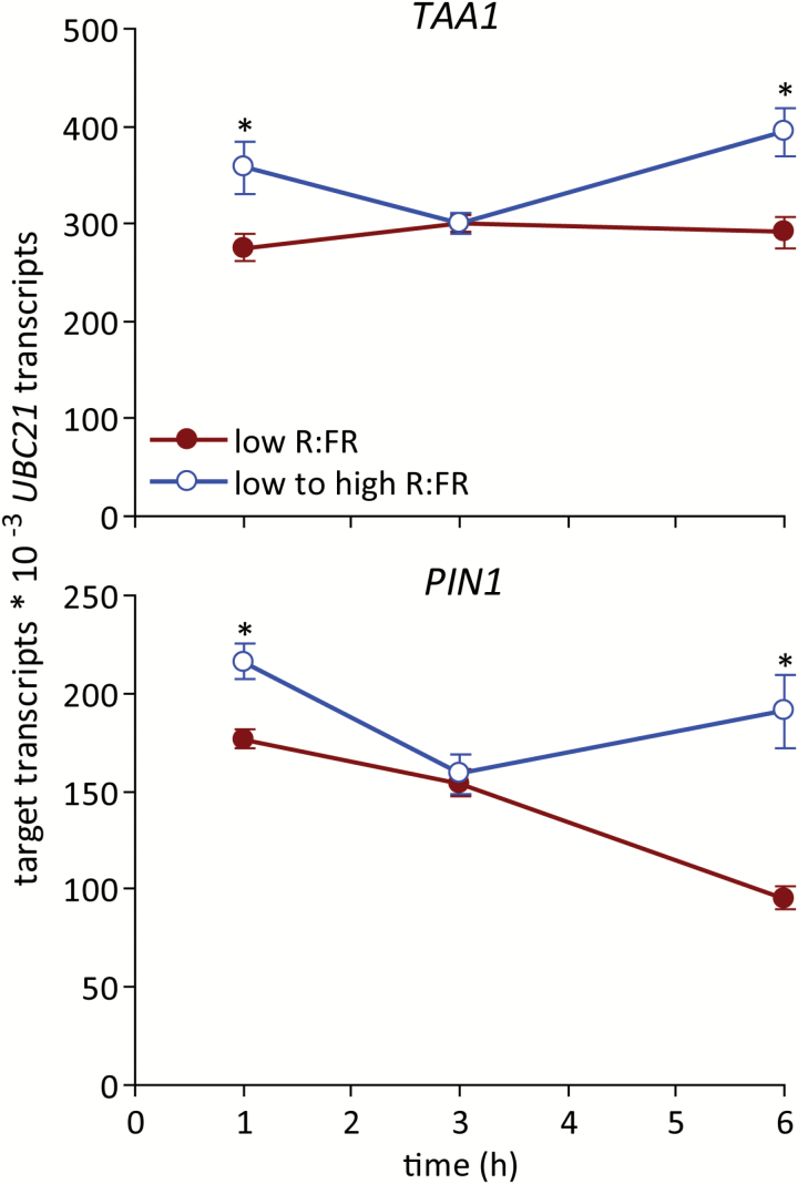 Fig. 6.