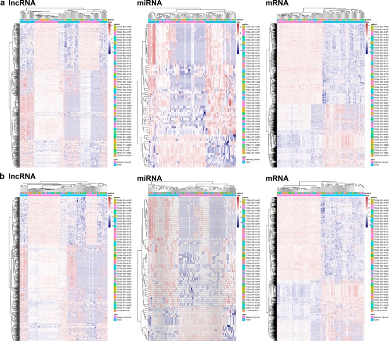 Fig. 1