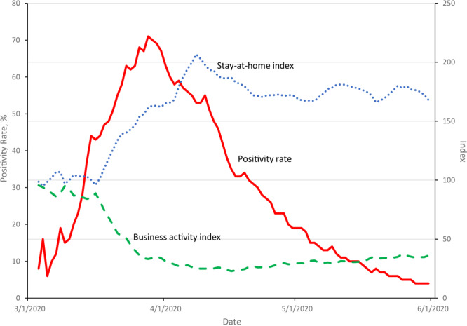 The positivity rate reached a maximum of 71% on March 28 and declined steadily in the next 2 months. By May 31, only 4% of tests had a positive outcome. The business activity and stay-at-home indices were near their prepandemic value of 100 until about the middle of March. At that time, the business activity index rapidly declined; on April 16 it reached a low of 22.9 and stayed below 50 through May 31. In contrast, the stay-at-home index increased rapidly, reaching a peak of 206.6 on April 8; between mid-April and May 31, it hovered around 175.