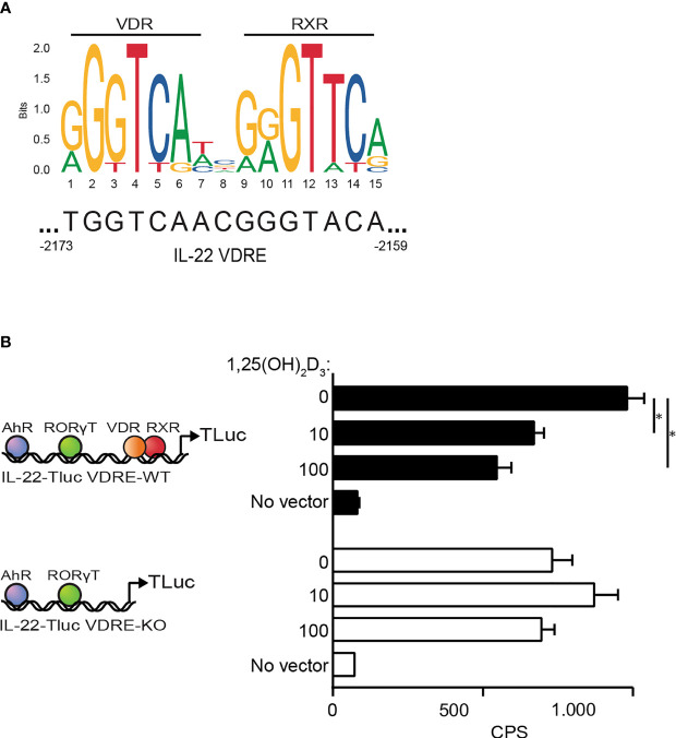 Figure 7