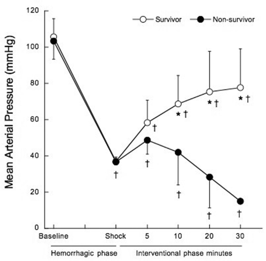 Figure 2 -